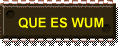 QUE ES WUM