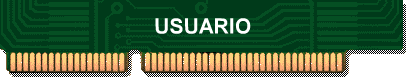 USUARIO
